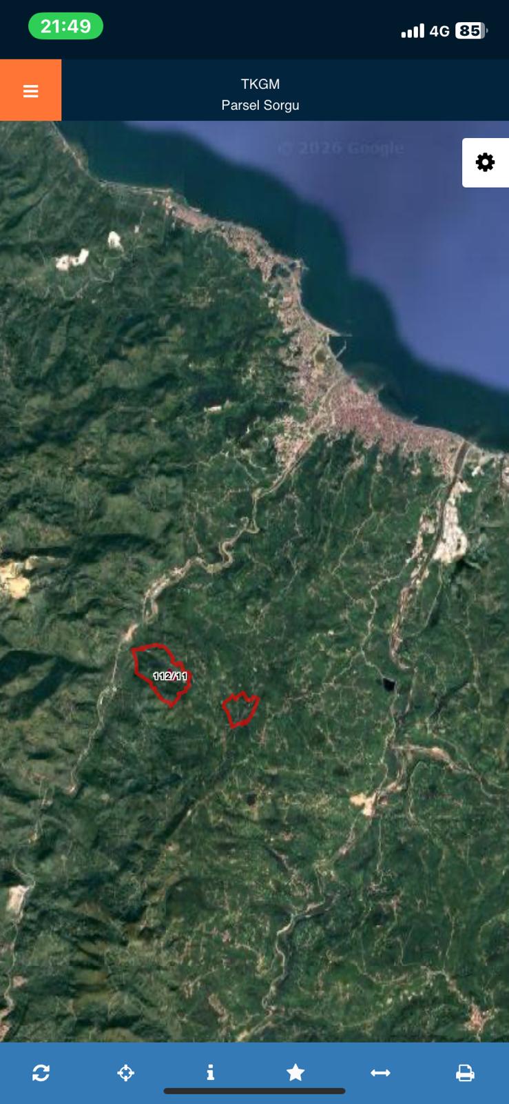 FATSA BODAĞI KÖYÜNDE YOL ÜZERİ TAŞ EV KARŞIISI SATILIK FINDIK BAHÇESİ